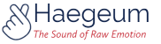 Haegeum small header logo